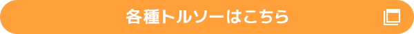 各種トルソーはこちら